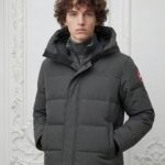 Kanada Goose 0001 - Gray